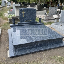Labrador2_0725